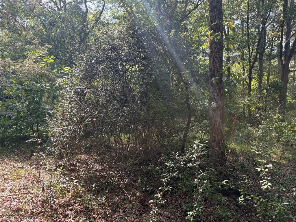 6355 Kimberly Mill Road South Fulton, GA 30349 - Photo 42 of 68 a view of a forest with lots of trees