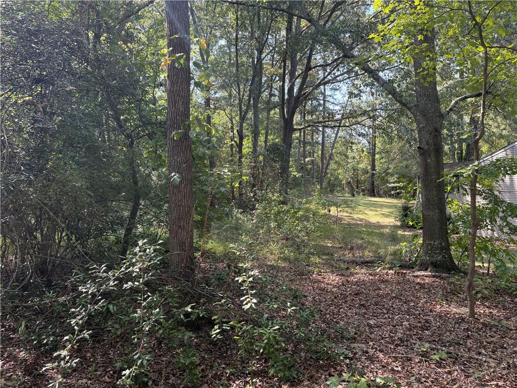 6355 Kimberly Mill Road South Fulton, GA 30349 - Photo 43 of 68 a view of outdoor space and green space