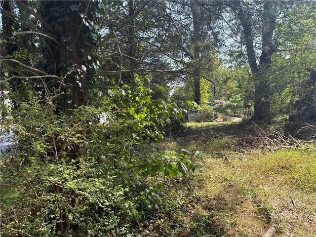 a view of road with trees