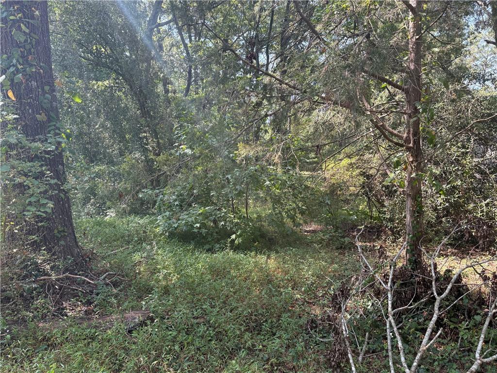 6355 Kimberly Mill Road South Fulton, GA 30349 - Photo 48 of 68 a view of a forest with lots of trees