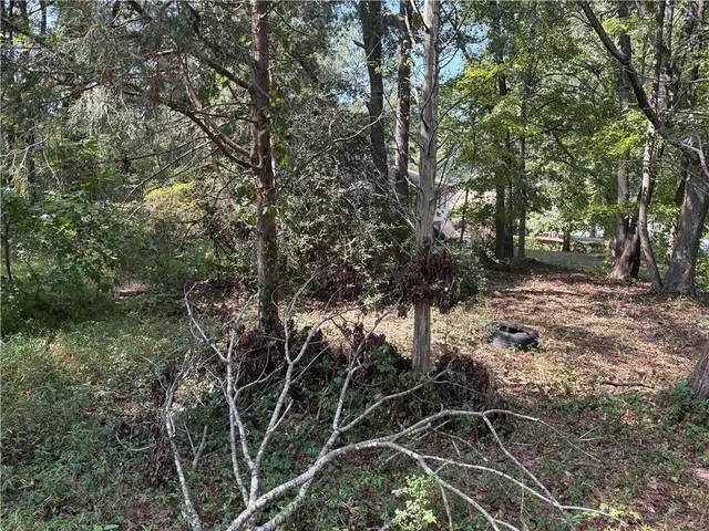 a view of a house with a yard and tree s