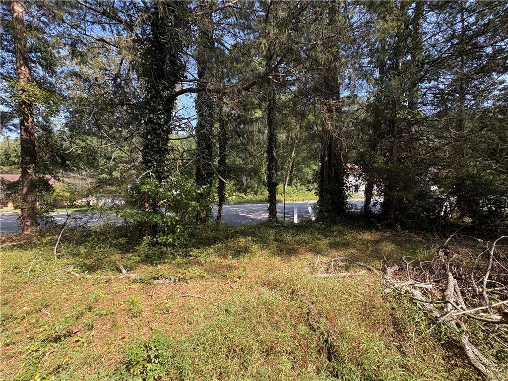 6355 Kimberly Mill Road South Fulton, GA 30349 - Photo 55 of 68 a view of a tree in the middle of a yard