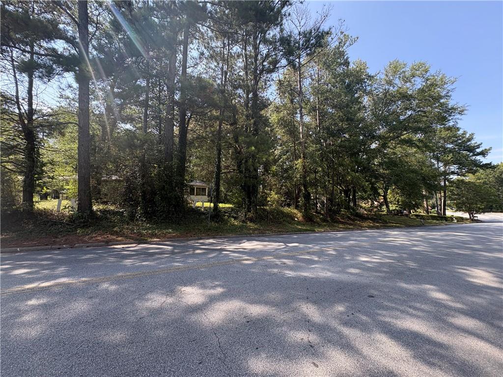 6355 Kimberly Mill Road South Fulton, GA 30349 - Photo 63 of 68 a view of a tree in the middle of a yard