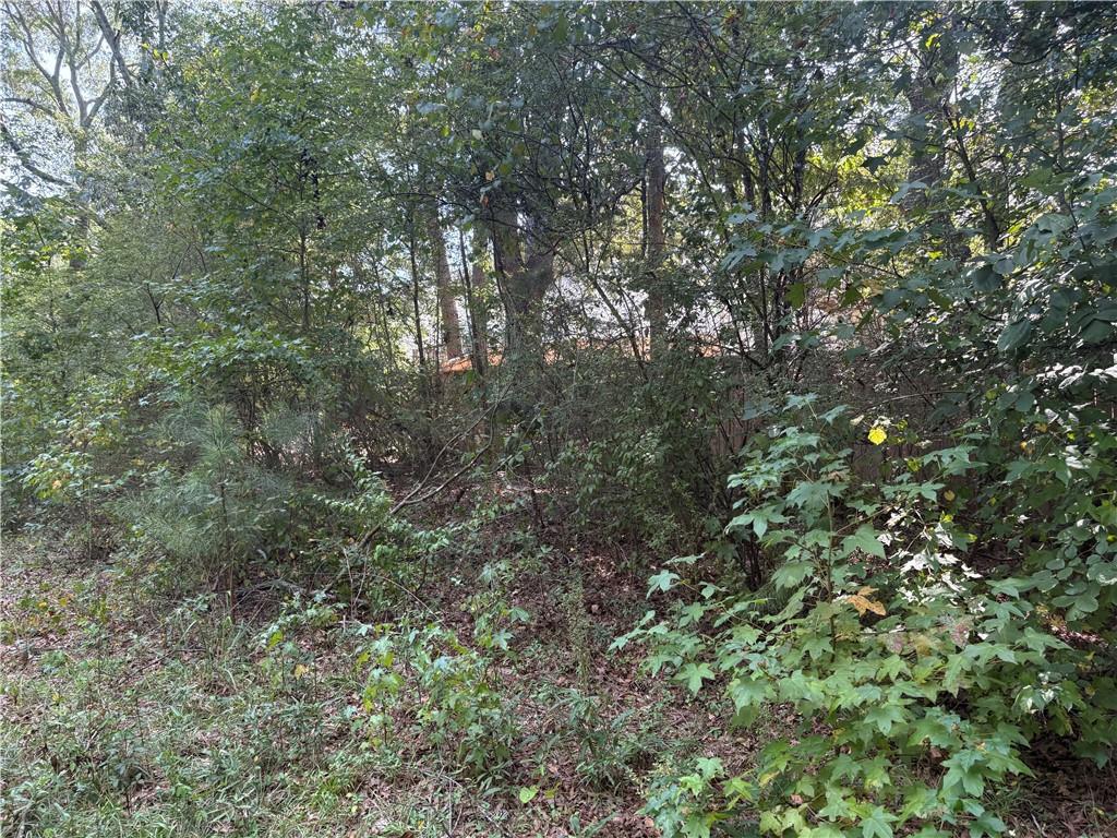 6355 Kimberly Mill Road South Fulton, GA 30349 - Photo 7 of 68 a view of a yard with a tree