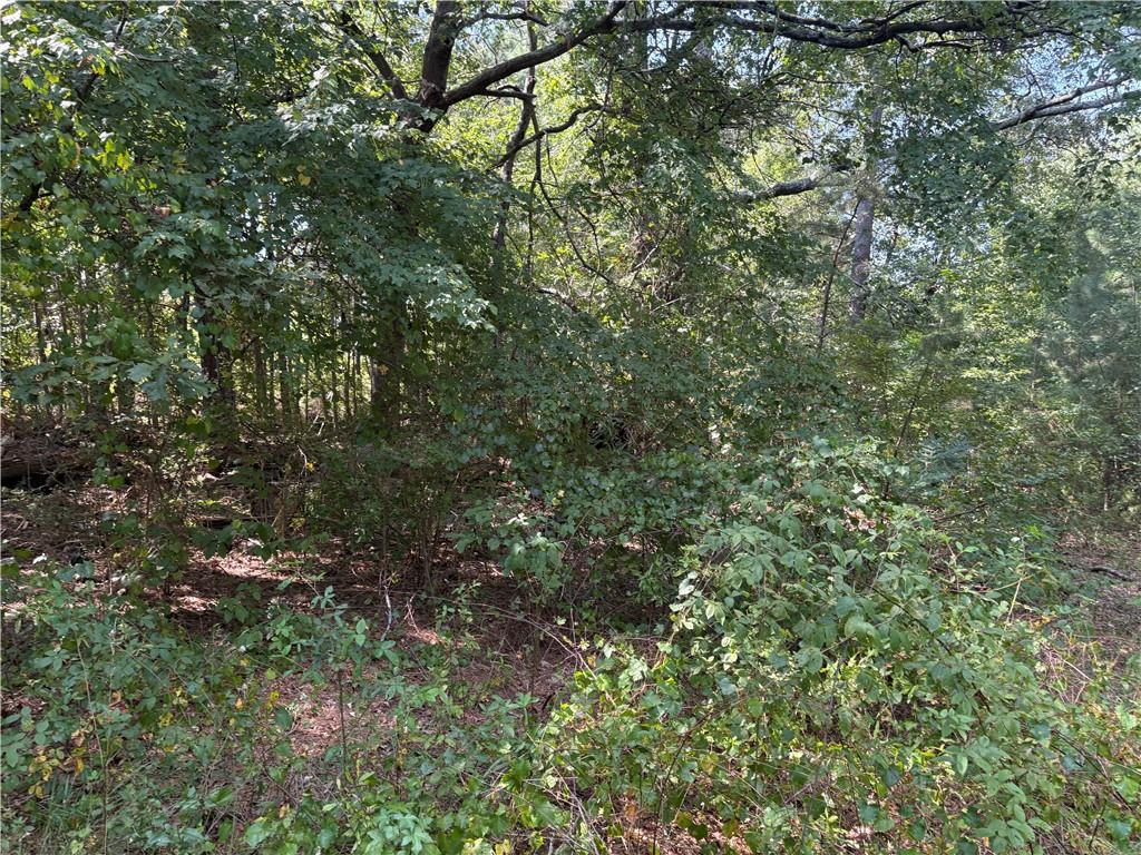 6355 Kimberly Mill Road South Fulton, GA 30349 - Photo 9 of 68 a view of a tree in a yard