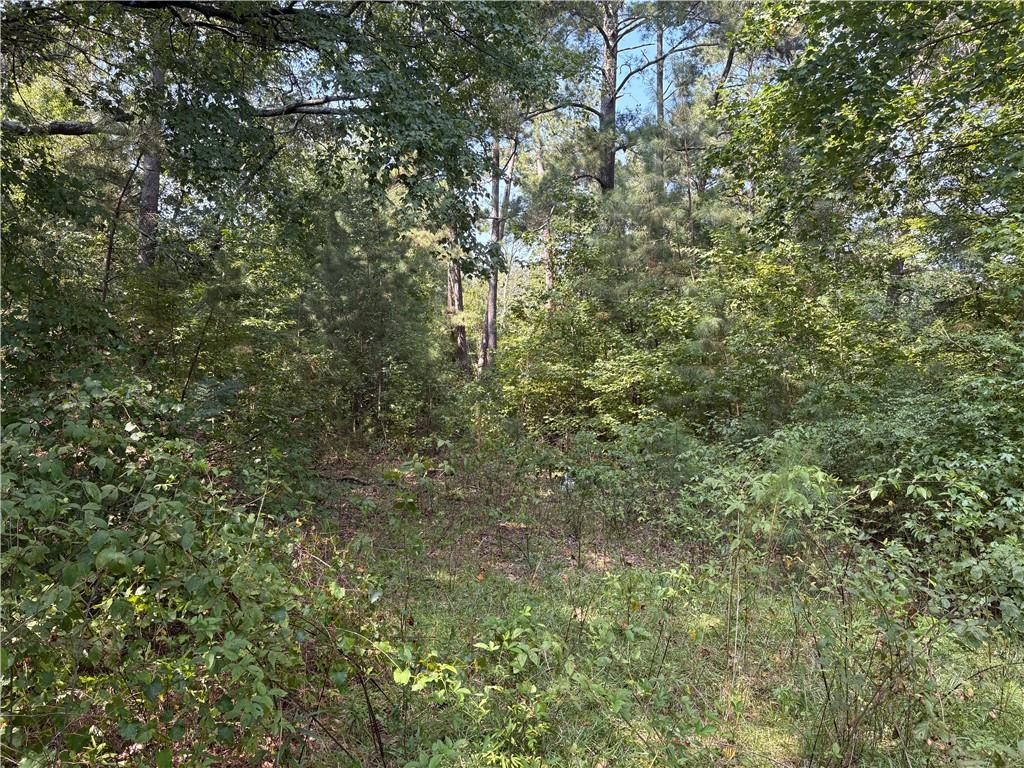 6355 Kimberly Mill Road South Fulton, GA 30349 - Photo 10 of 68