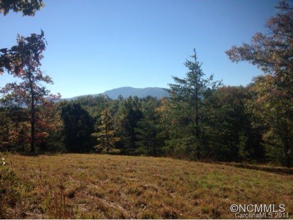 0 Fallen Tree Lane, Unit 26 Mill Spring, NC 28756 - Photo 1 of 7