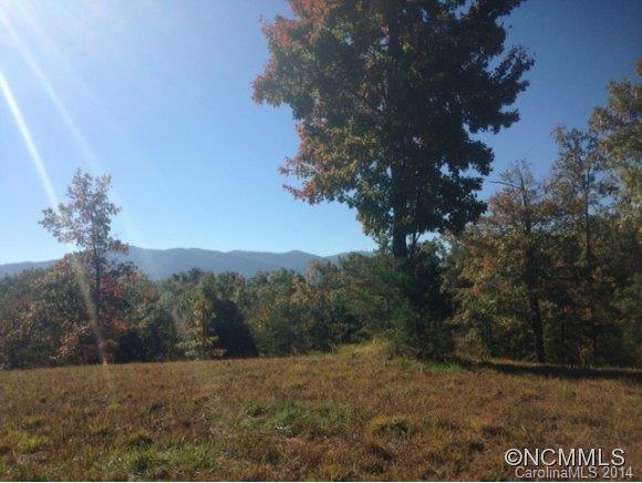0 Fallen Tree Lane, Unit 26 Mill Spring, NC 28756 - Photo 2 of 7