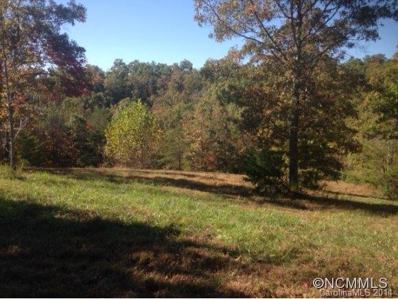 0 Fallen Tree Lane, Unit 26 Mill Spring, NC 28756 - Photo 3 of 7