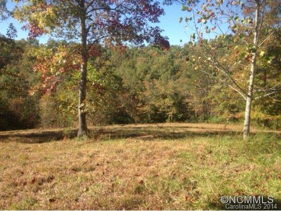 0 Fallen Tree Lane, Unit 26 Mill Spring, NC 28756 - Photo 4 of 7