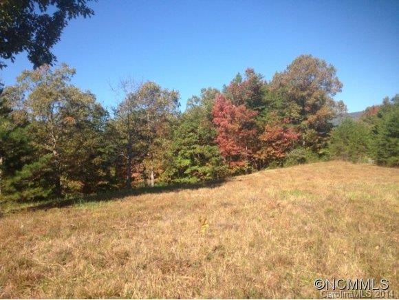 0 Fallen Tree Lane, Unit 26 Mill Spring, NC 28756 - Photo 5 of 7