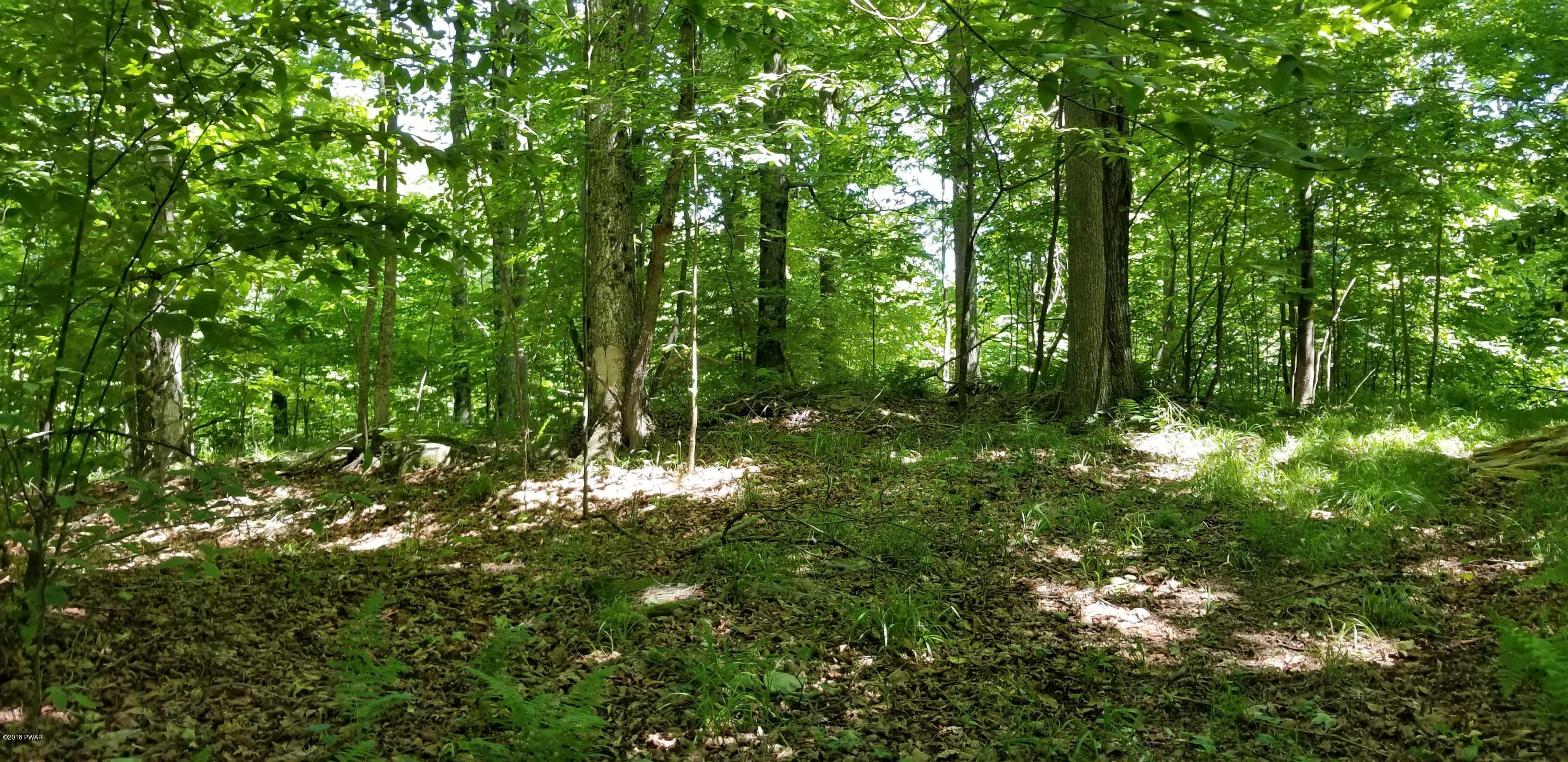Lot 63 Old Woods Road Equinunk, PA 18417 - Photo 41 of 63