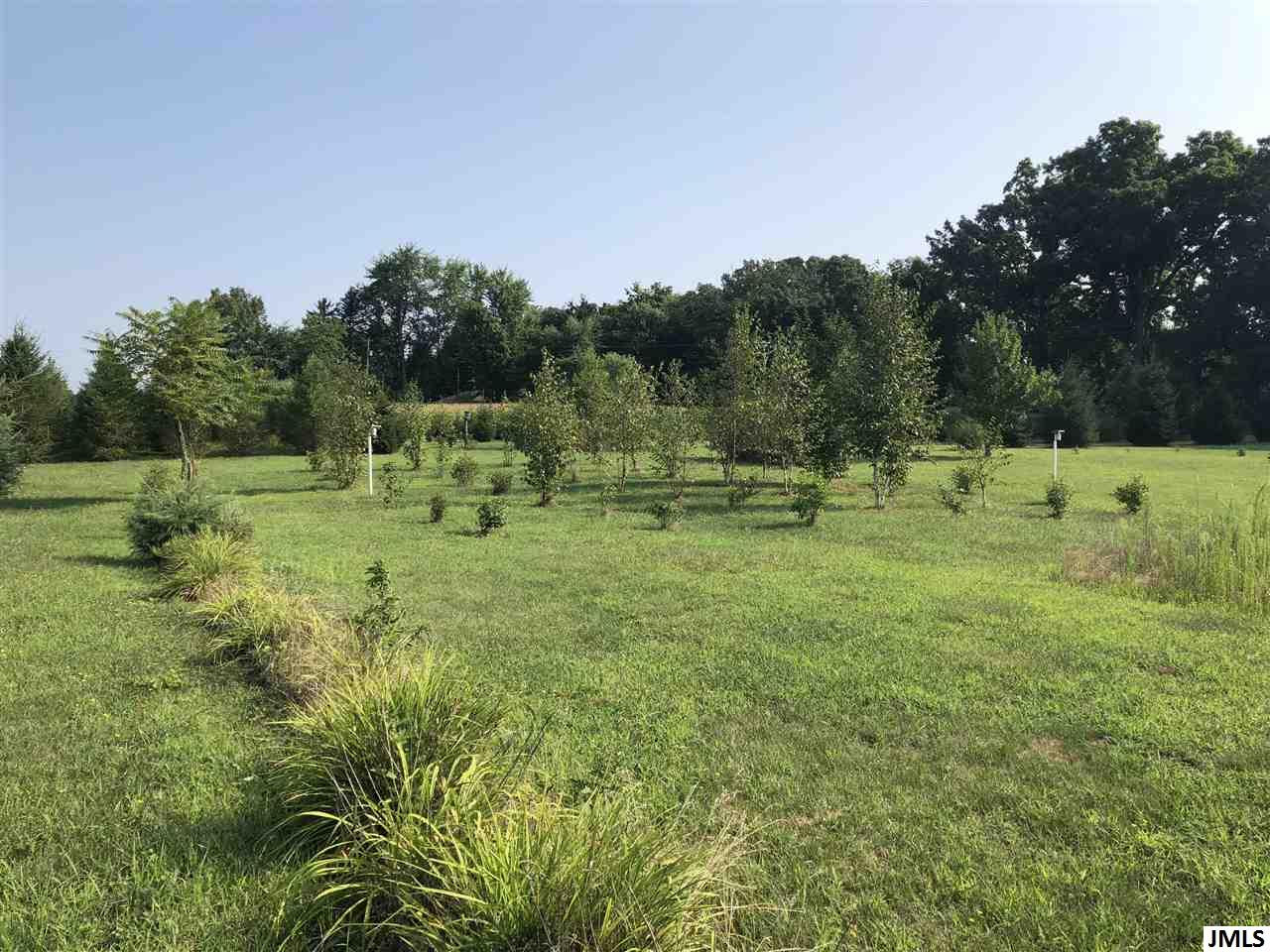 V/l North Parma Road Parma, MI 49269 - Photo 5 of 11 Photo 5