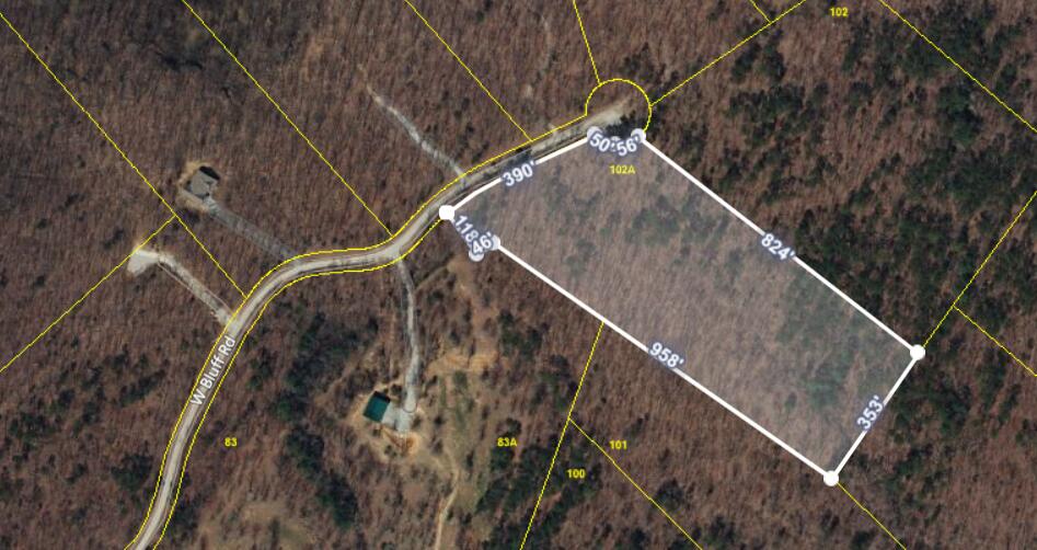 0 West Bluff Road Pikeville, TN 37367 - Photo 3 of 3 0 W Bluff Rd
