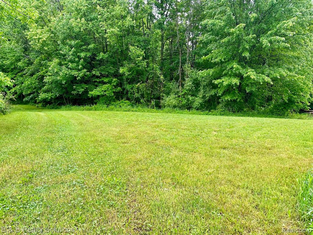 0 South Lake Pleasant Road Metamora, MI 48455 - Photo 10 of 32