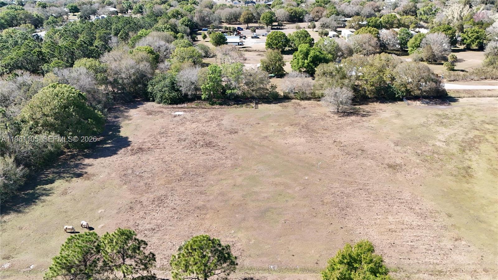 448 Northwest 34th Street Okeechobee, FL 34972 - Photo 4 of 32