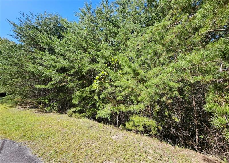 298 Ridgeside Court Jasper, GA 30143 - Photo 6 of 10 a view of a yard with a tree