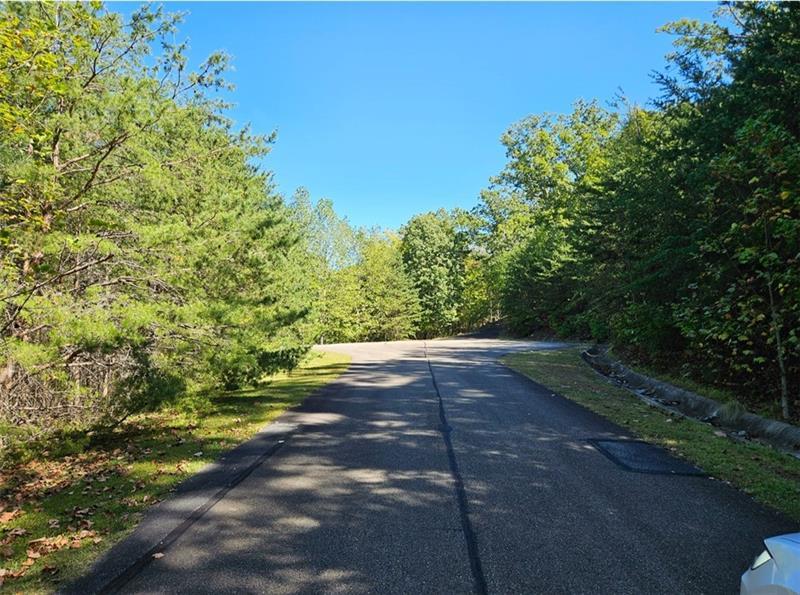 298 Ridgeside Court Jasper, GA 30143 - Photo 8 of 10 a view of an outdoor space with yard