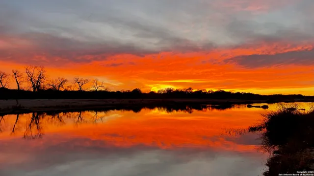 a view of a lake from a yard