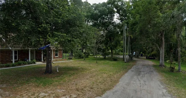a view of a park with large trees