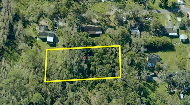 a view of a garden from a house