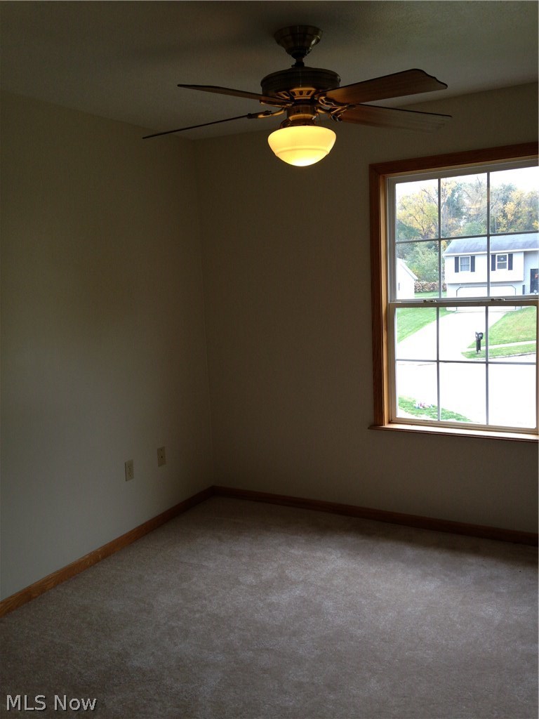 233 Louise Street Rittman, OH 44270 - Photo 10 of 14 Gallery Image 10