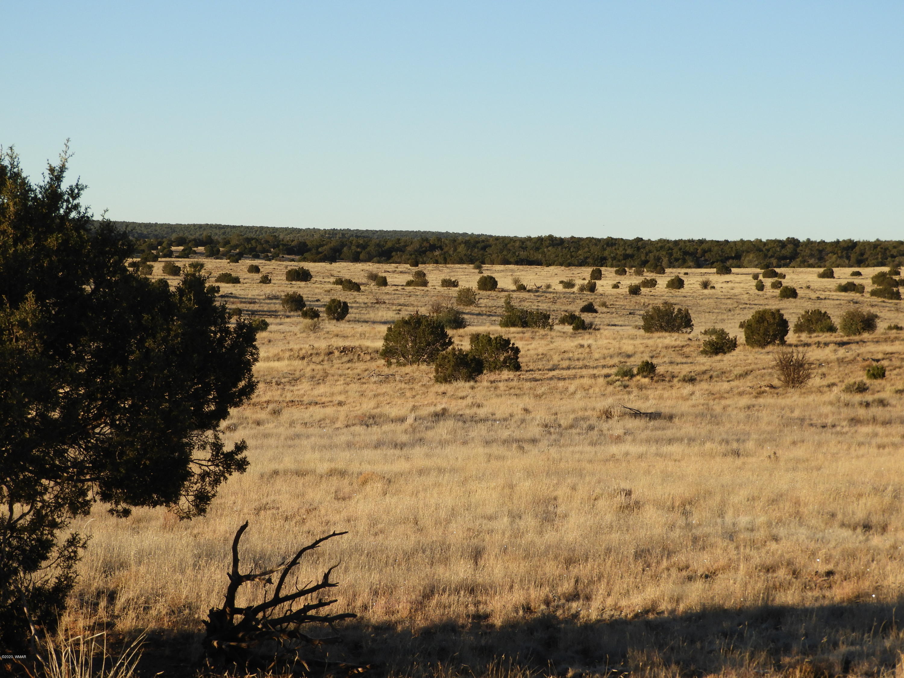 1437 South Hidden Hills Road Taylor, AZ 85939 - Photo 4 of 7