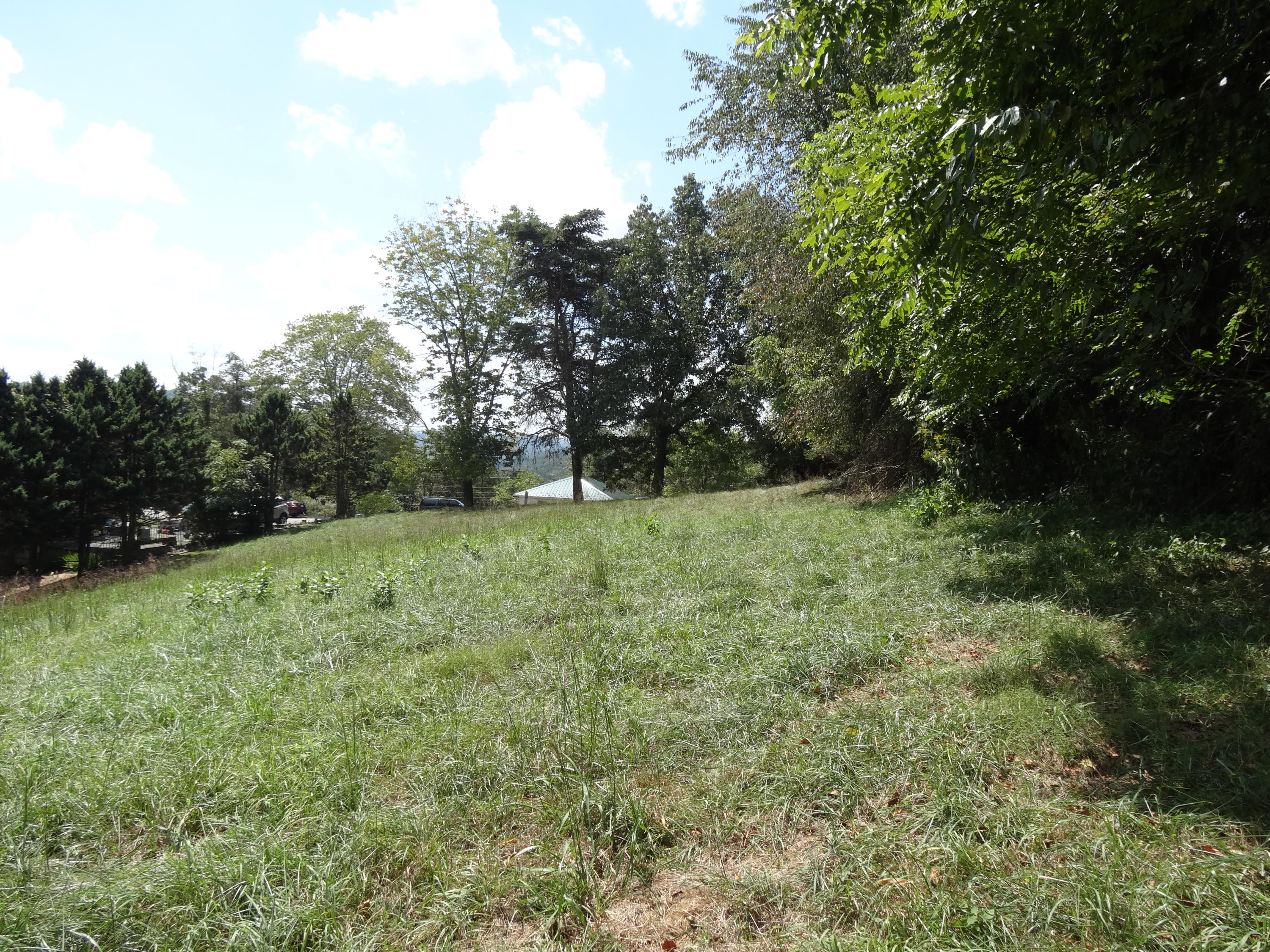 Rocky Hill Road Ronceverte, WV 24970 - Photo 5 of 11 Gallery Image 5