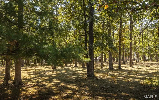 $275,000 | 10860 County Road 5280, Rolla, MO 65401