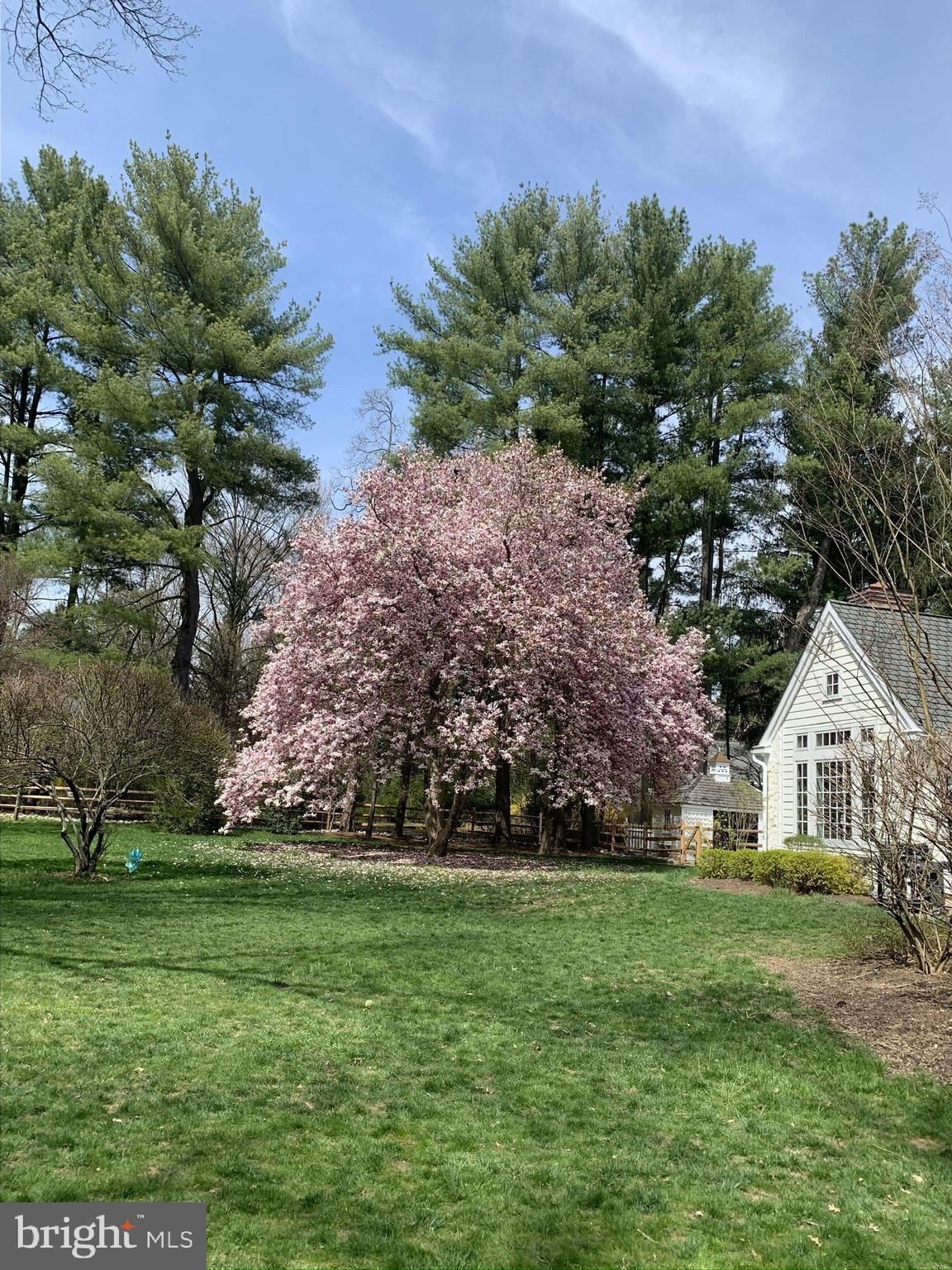 518 Newtown Road Berwyn, PA 19312 - Photo 83 of 90 Blue Skies