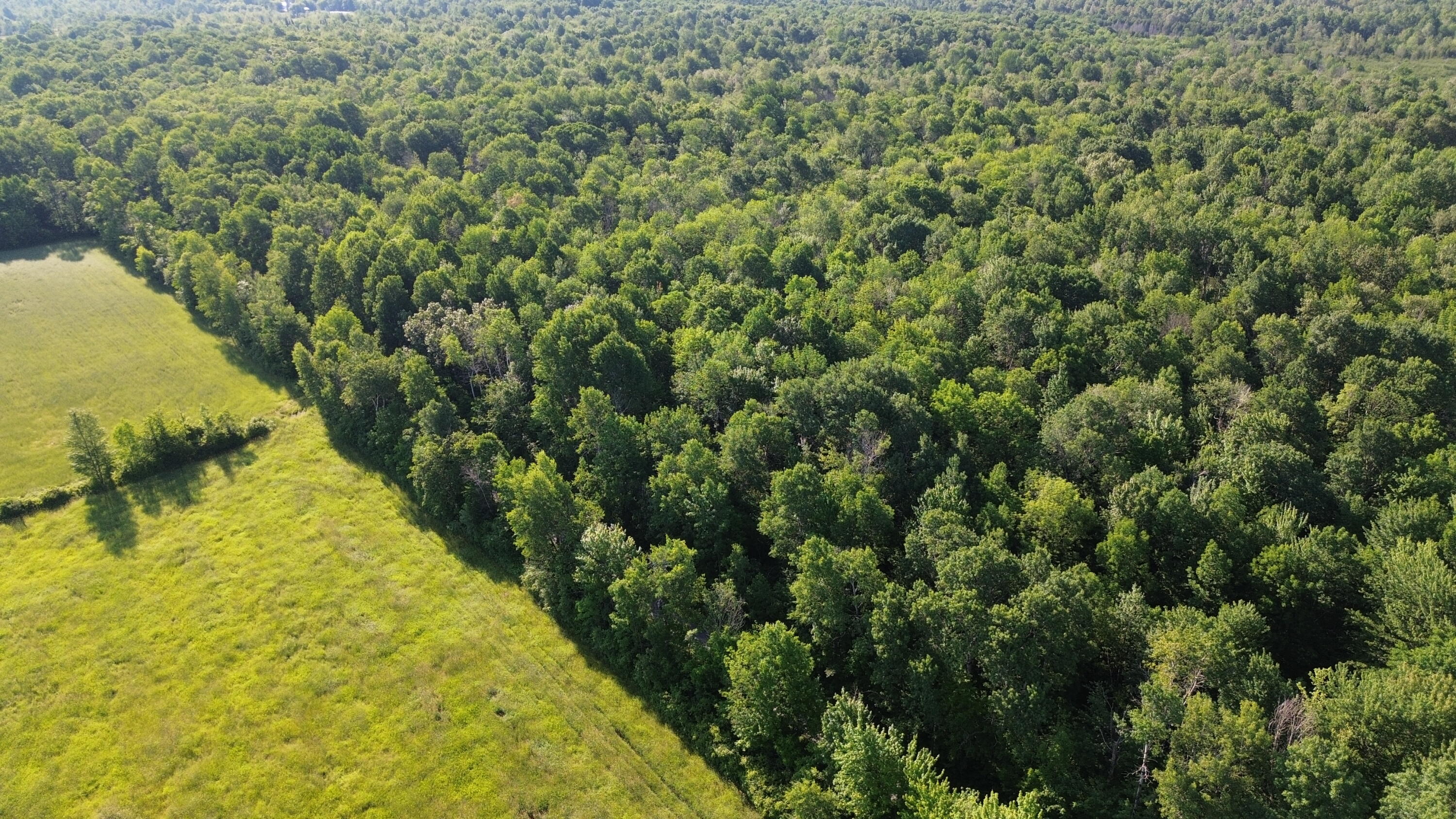 . Lost Nation Road Churubusco, NY 12923 - Photo 20 of 34 DJI_0475