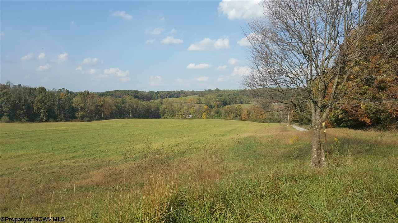 883 Little Sandy Road Bruceton Mills, WV 26525 - Photo 12 of 12 Gallery Image 12