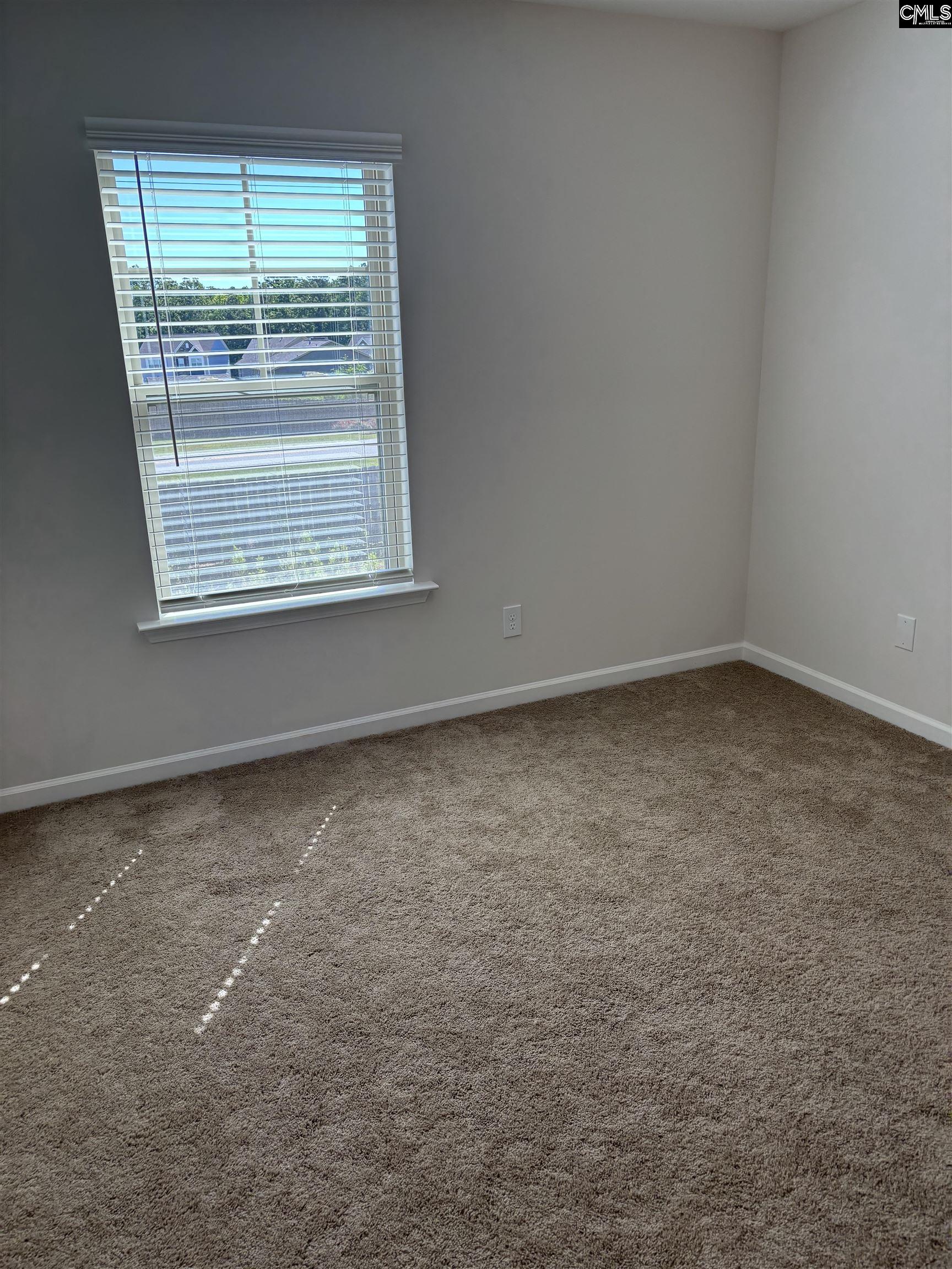 154 Wahoo Circle Irmo, SC 29063 - Photo 4 of 43