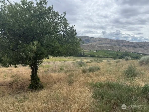 $55,000 | 111 Tbd Highway, Tonasket, WA 98855