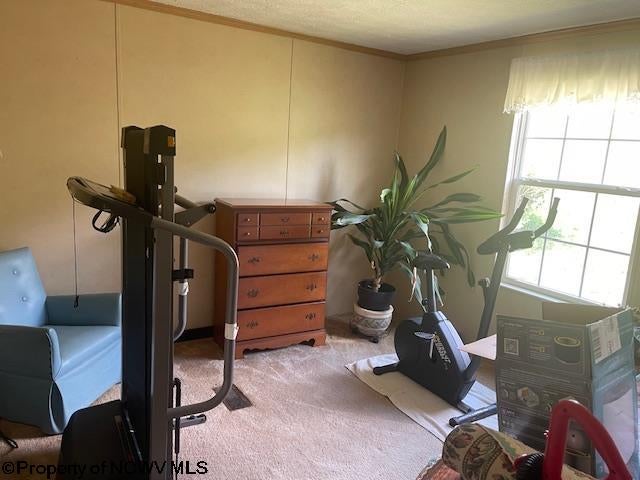 3496 Sinclair Road Moatsville, WV 26405 - Photo 21 of 36 Gallery Image 21