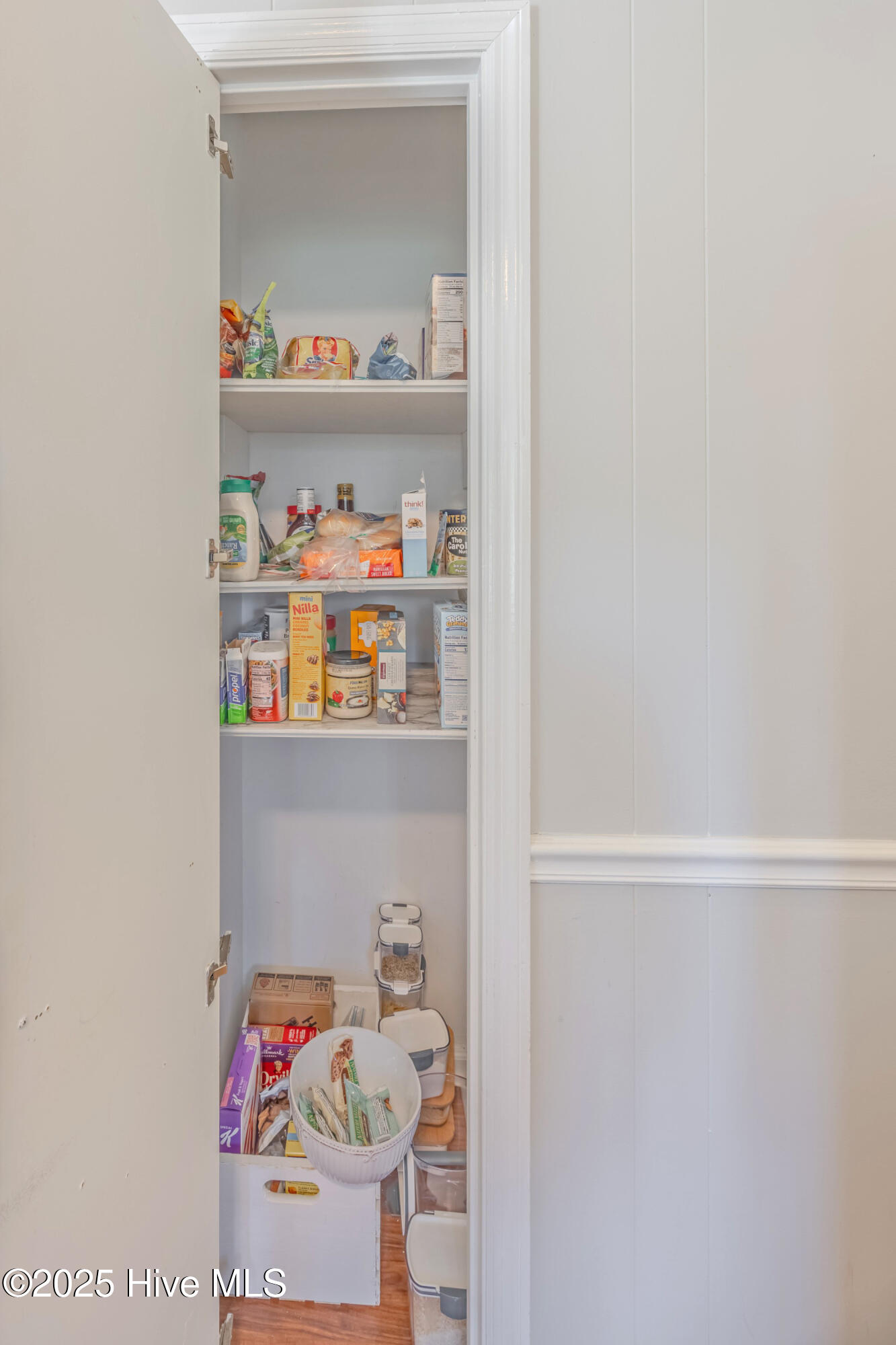1110 South Dobson Chapel Road Magnolia, NC 28453 - Photo 41 of 46 Hall Pantry