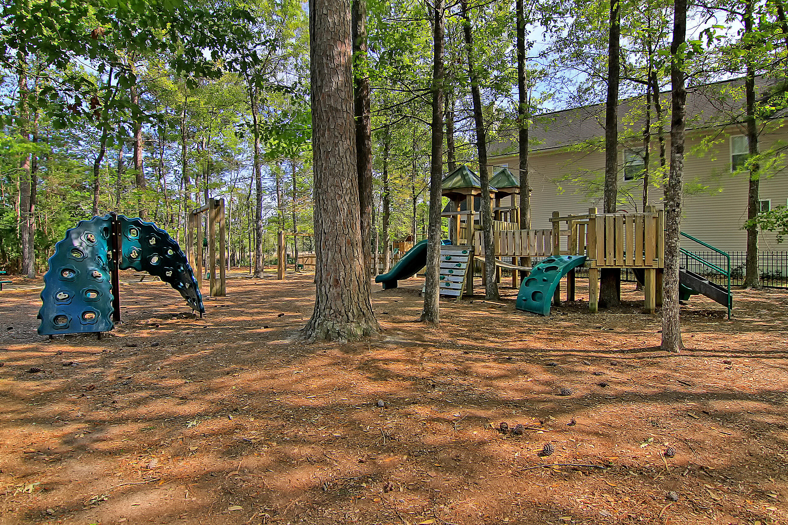 3217 Beaconsfield Road Mount Pleasant, SC 29466 - Photo 48 of 61 CREM_The Village at Park West Amenities