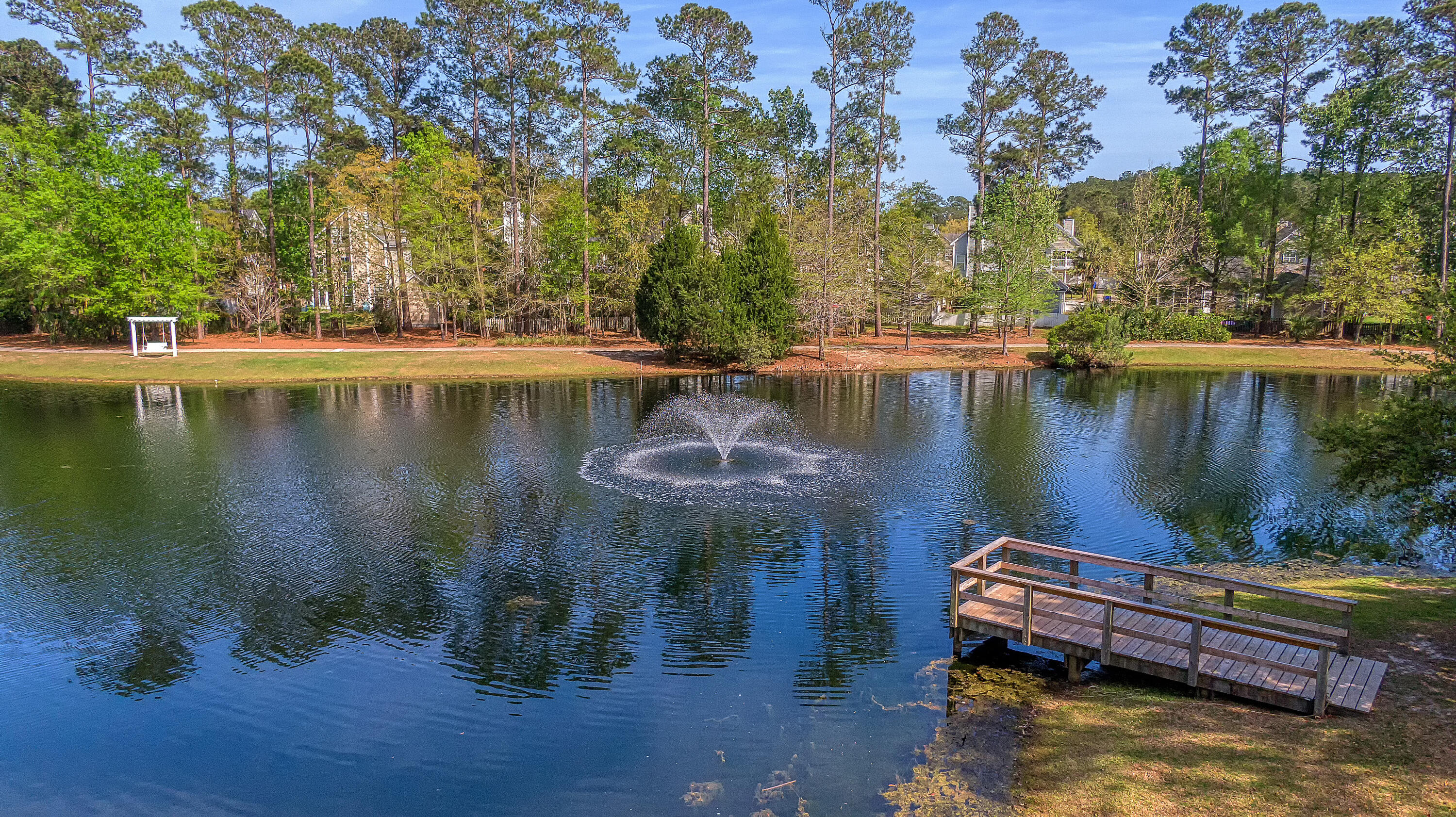 3217 Beaconsfield Road Mount Pleasant, SC 29466 - Photo 54 of 61 CREM_The Village at Park West Amenities
