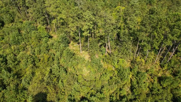 $7,168,140 | 379 Glory Road, Quincy, FL 32352