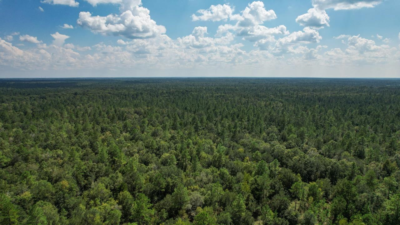 379 Glory Road Quincy, FL 32352 - Photo 11 of 27