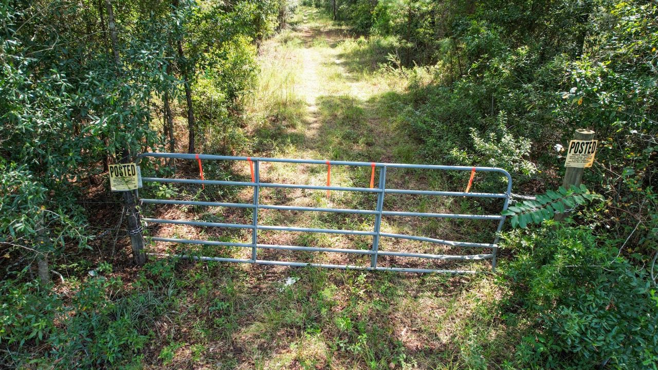 379 Glory Road Quincy, FL 32352 - Photo 19 of 27