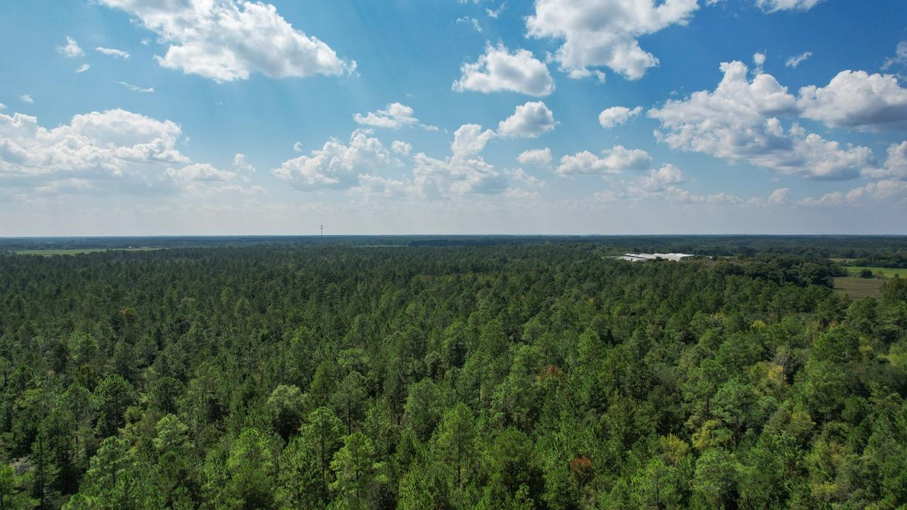 379 Glory Road Quincy, FL 32352 - Photo 10 of 27