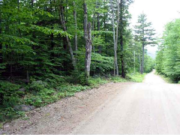 0 Snow Road Hill, NH 03243 - Photo 1 of 6