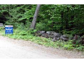 0 Snow Road Hill, NH 03243 - Photo 3 of 6