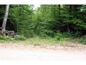 0 Snow Road Hill, NH 03243 - Photo 5 of 6