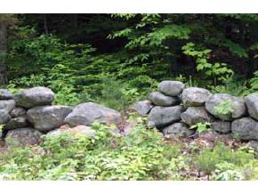 0 Snow Road Hill, NH 03243 - Photo 6 of 6