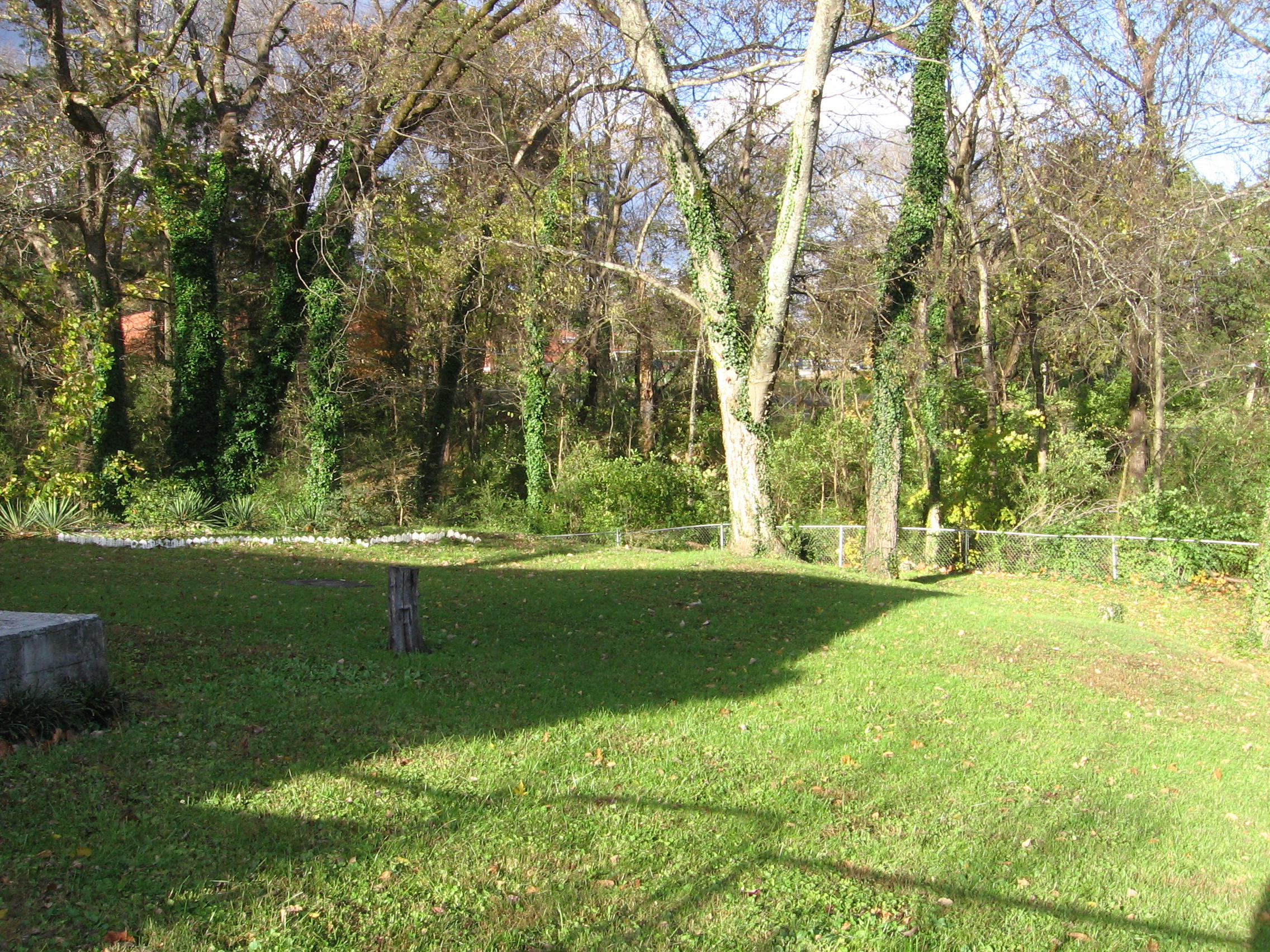 142 Athens Road Oak Ridge, TN 37830 - Photo 11 of 16 IMG_4746