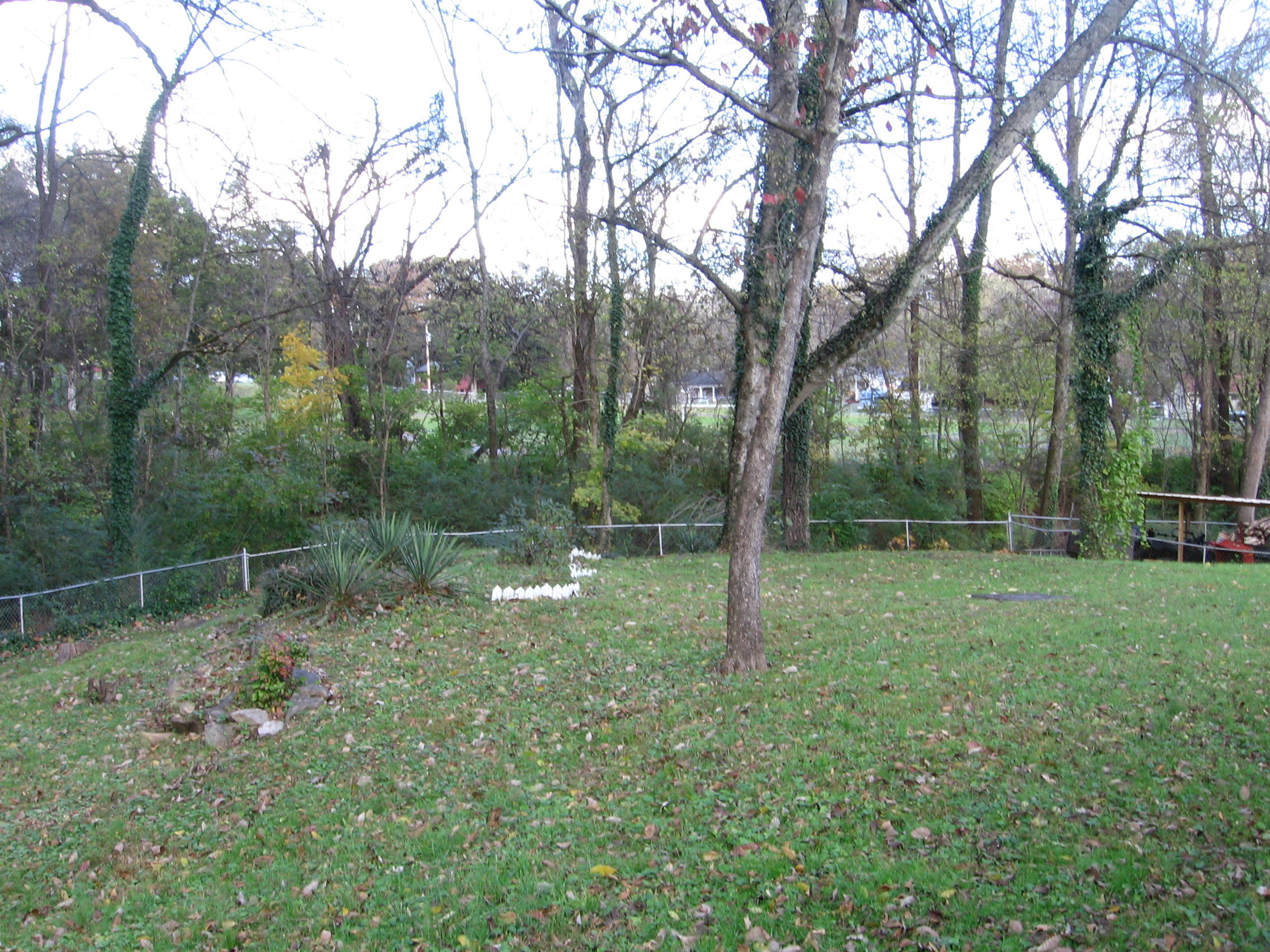 142 Athens Road Oak Ridge, TN 37830 - Photo 12 of 16 IMG_4763