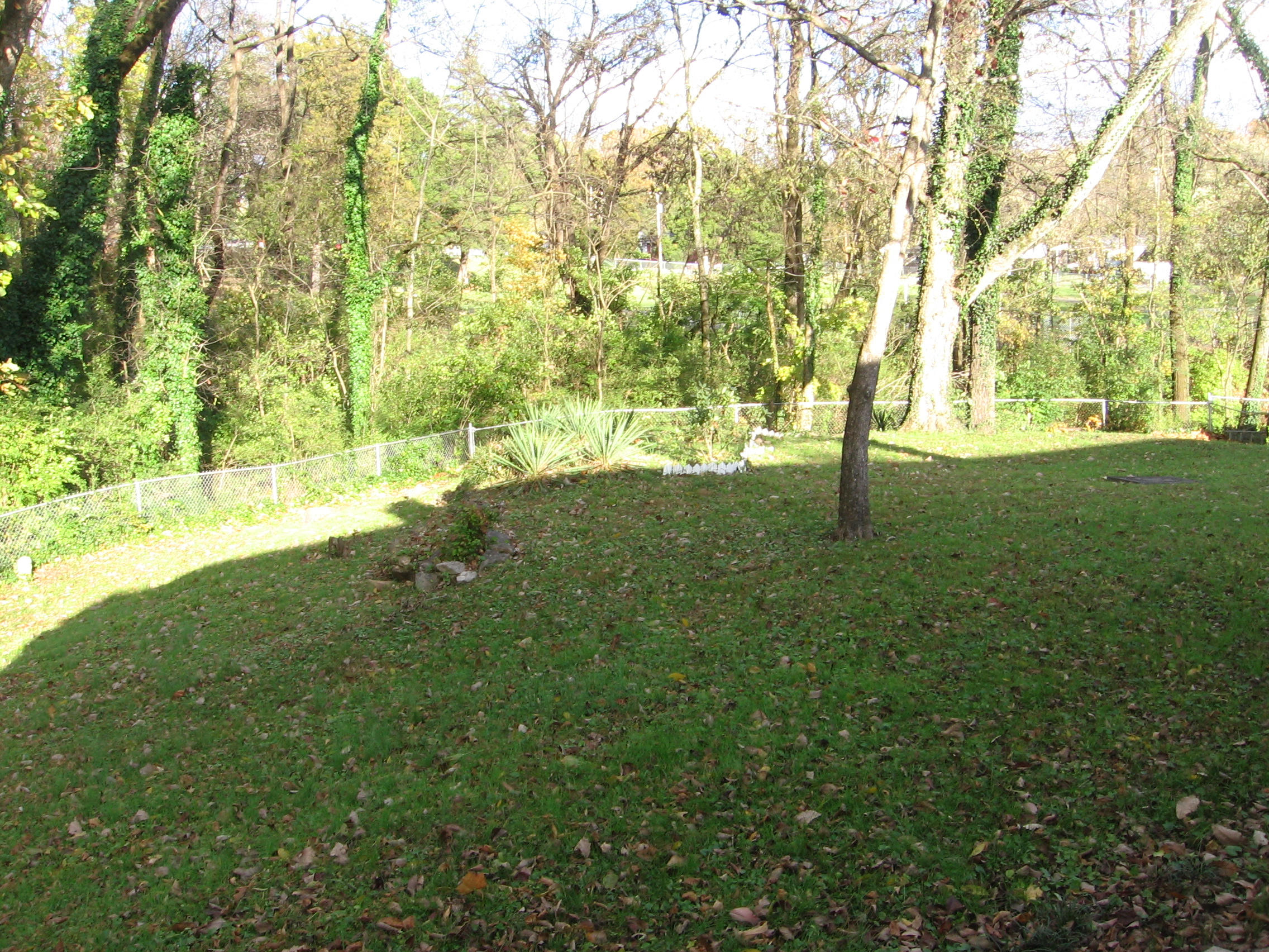 142 Athens Road Oak Ridge, TN 37830 - Photo 14 of 16 IMG_4747