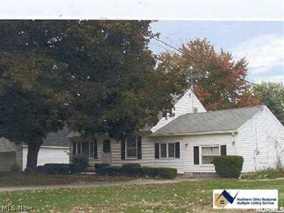 972 Park Road Painesville, OH 44077 - Photo 1 of 1 Gallery Image 1